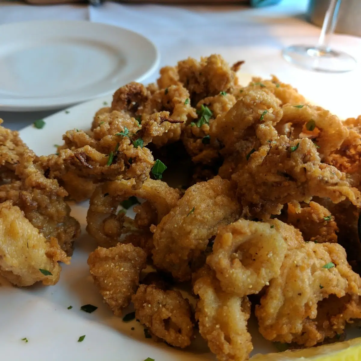Fried Calamari with Garlic Aioli