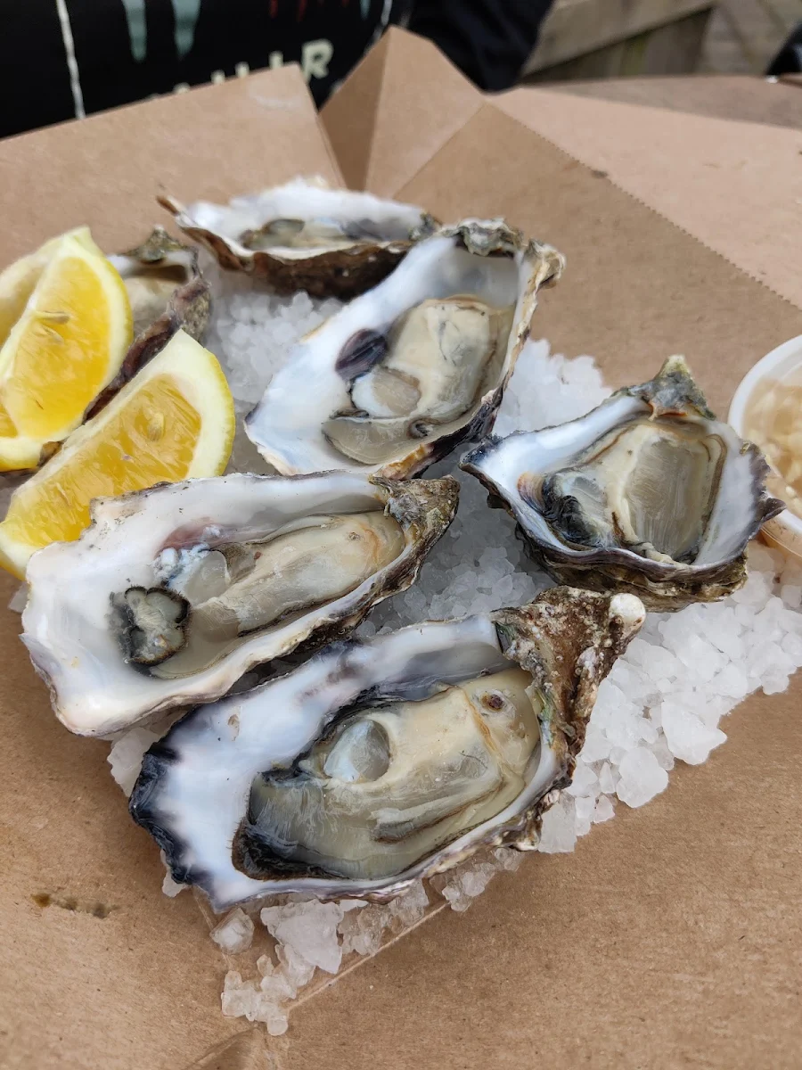 Oysters on the Half Shell