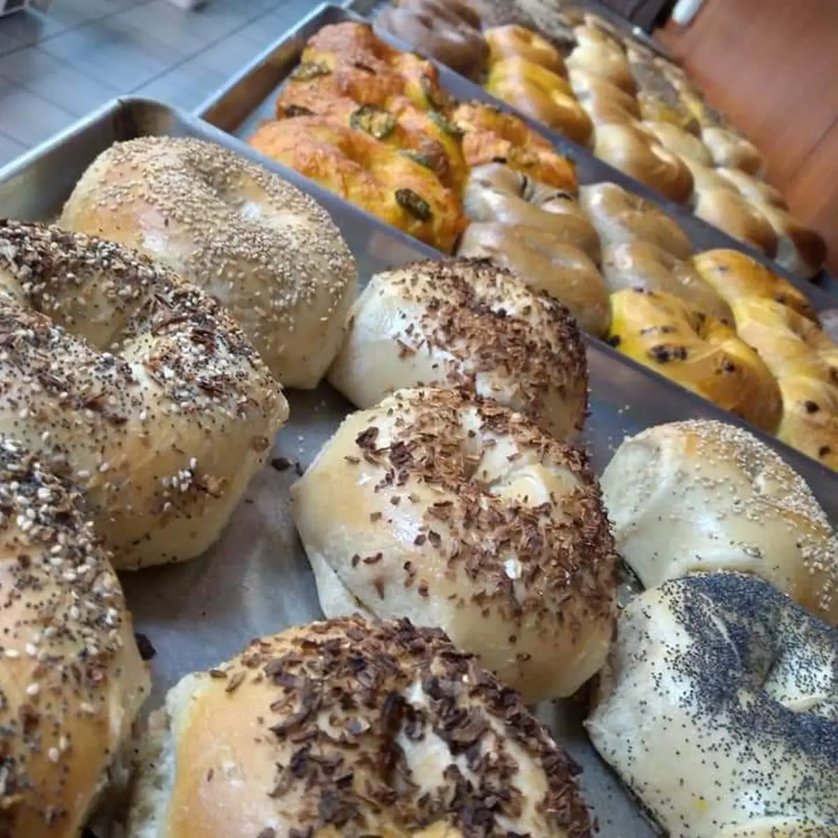 Poppy Bagel