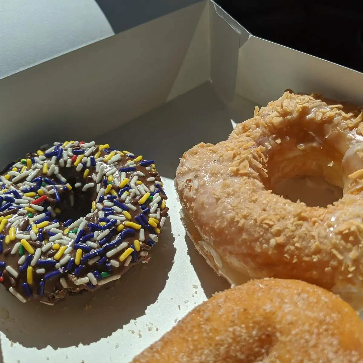 Doughnut