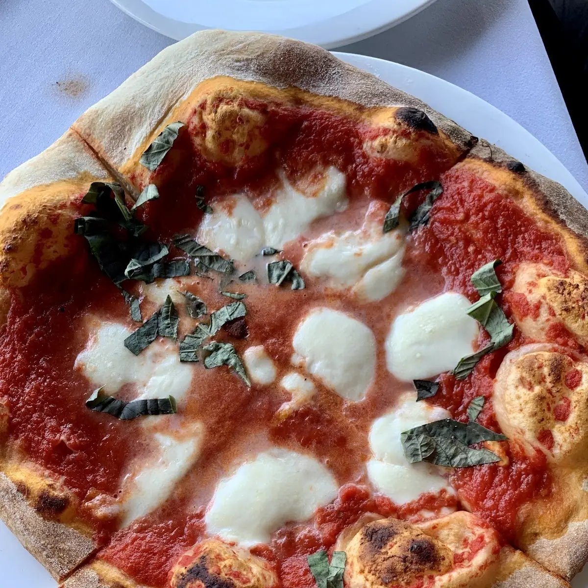 Margherita Pizza