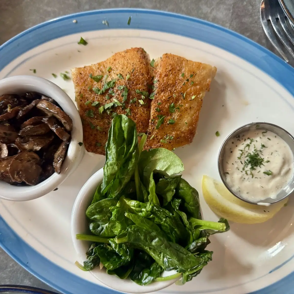 Pacific White Sea Bass