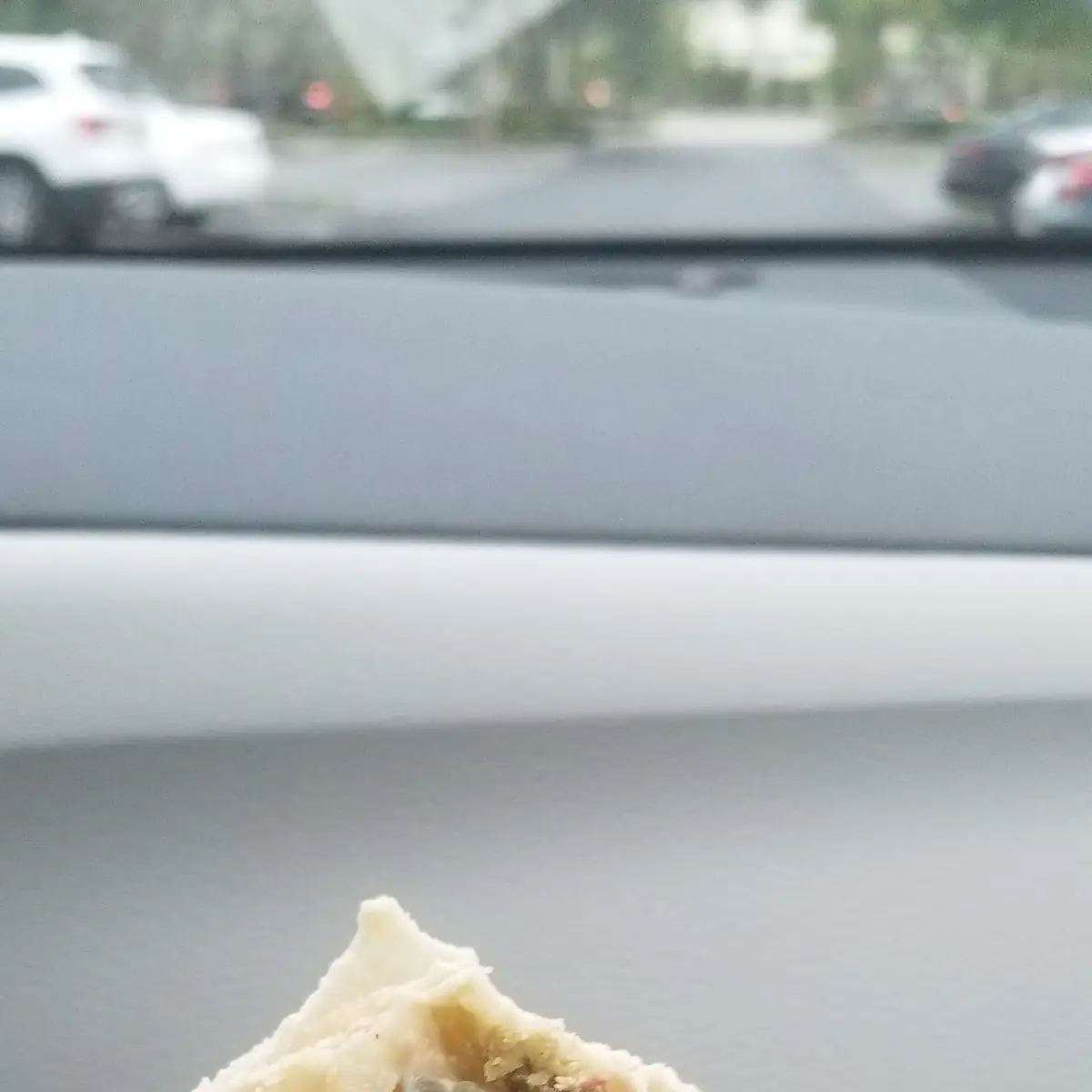 Falafel Sandwich