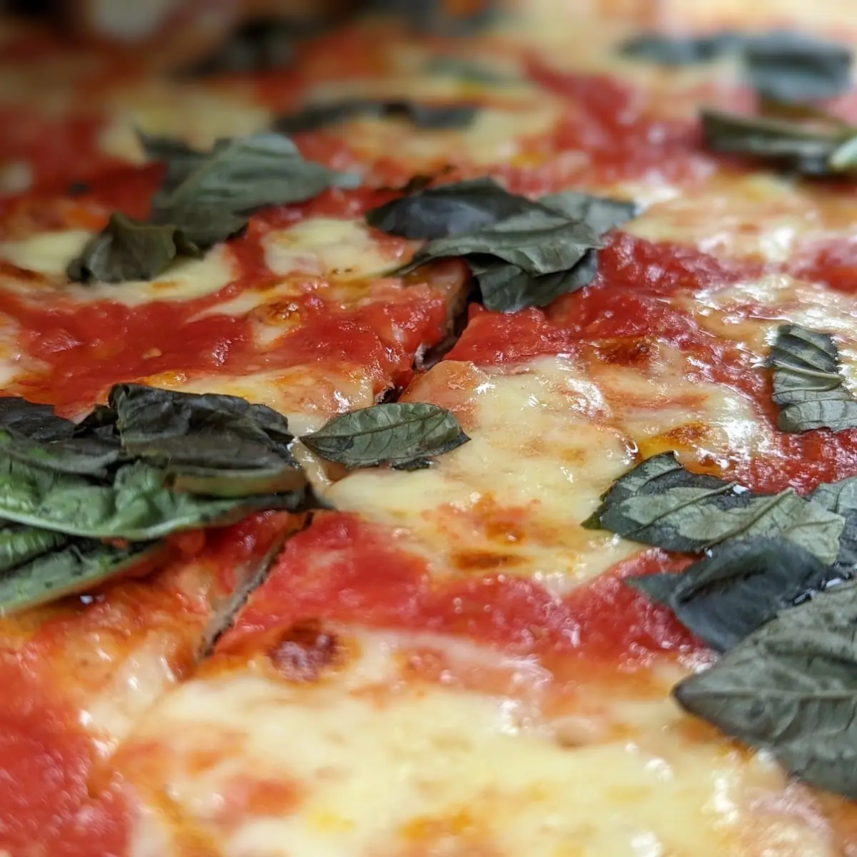 Margarita Pizza