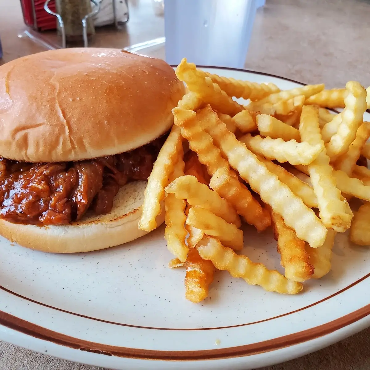 Pulled Pork Barbecue and Fries