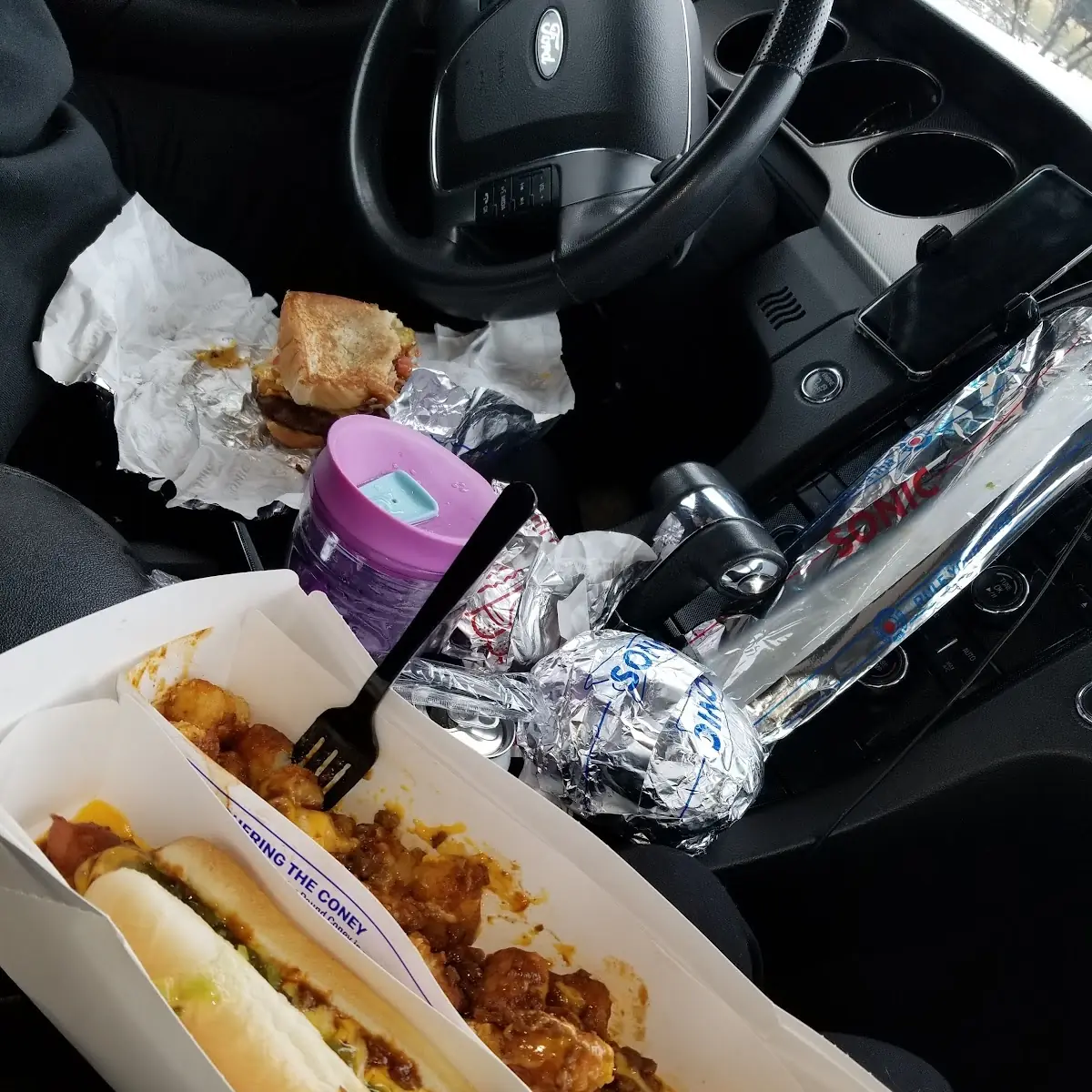 Coney Dog and Chili Cheese Tots