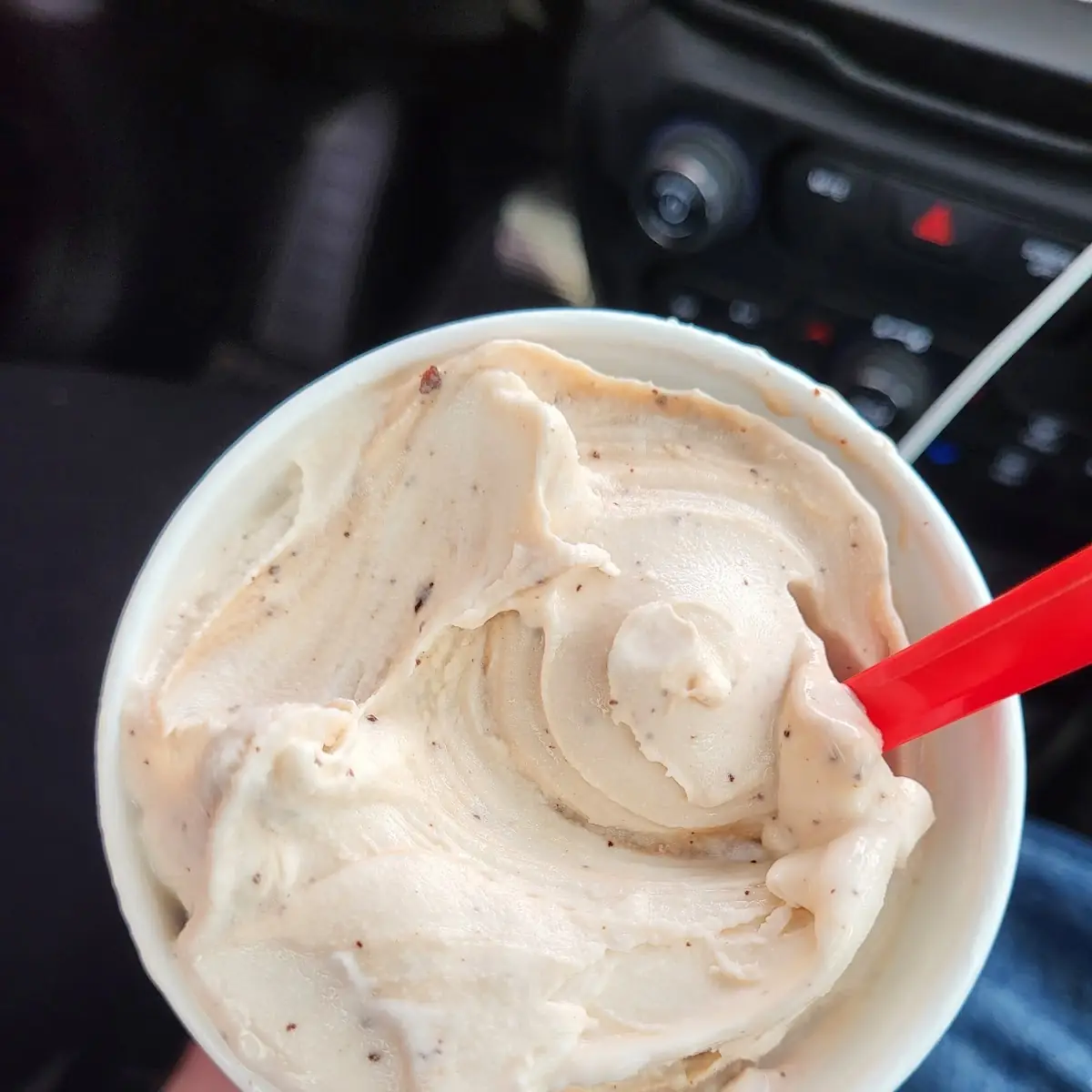 Ultimate Chocolate Fudge Brownie Blizzard