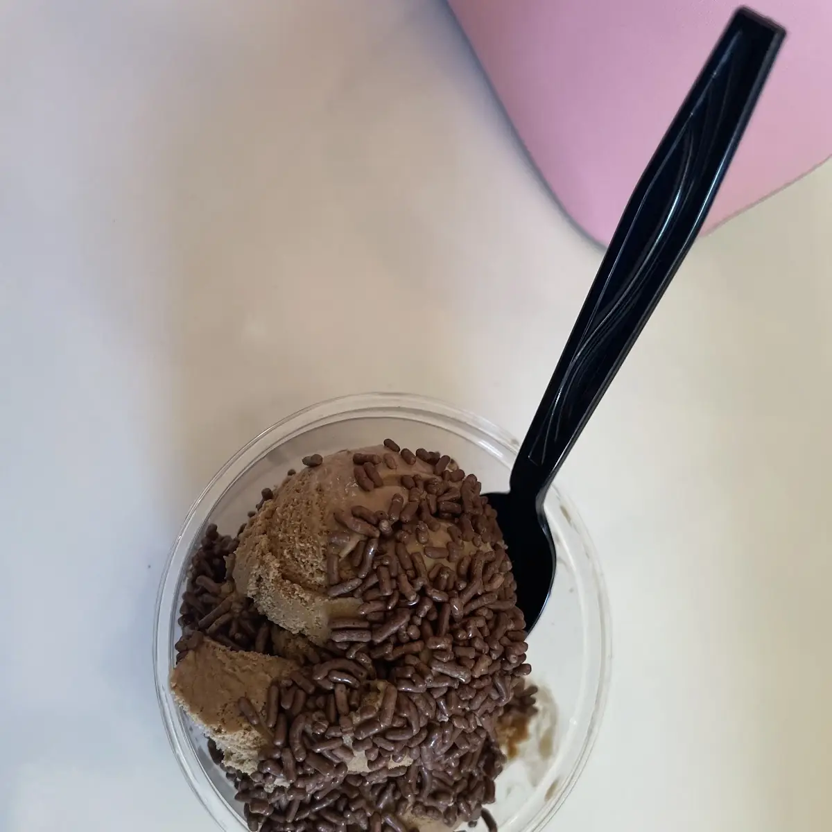 Chocolate Ice Cream with Chocolate Sprinkles