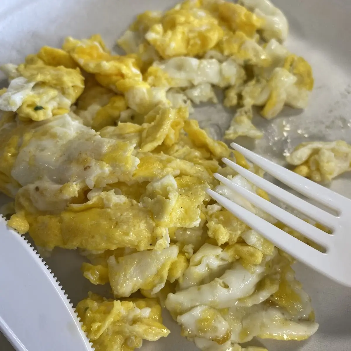 Scrambled Eggs