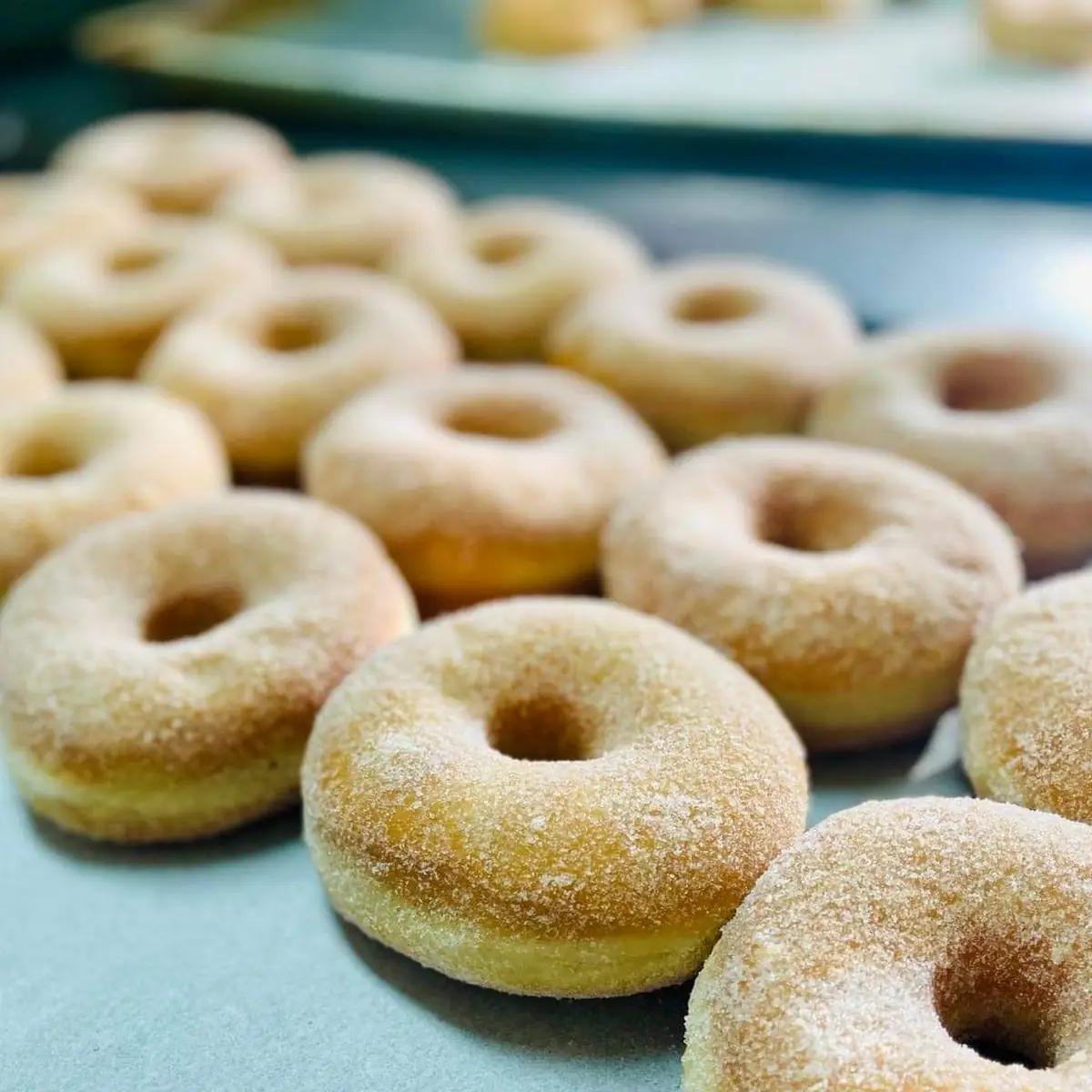 Doughnut