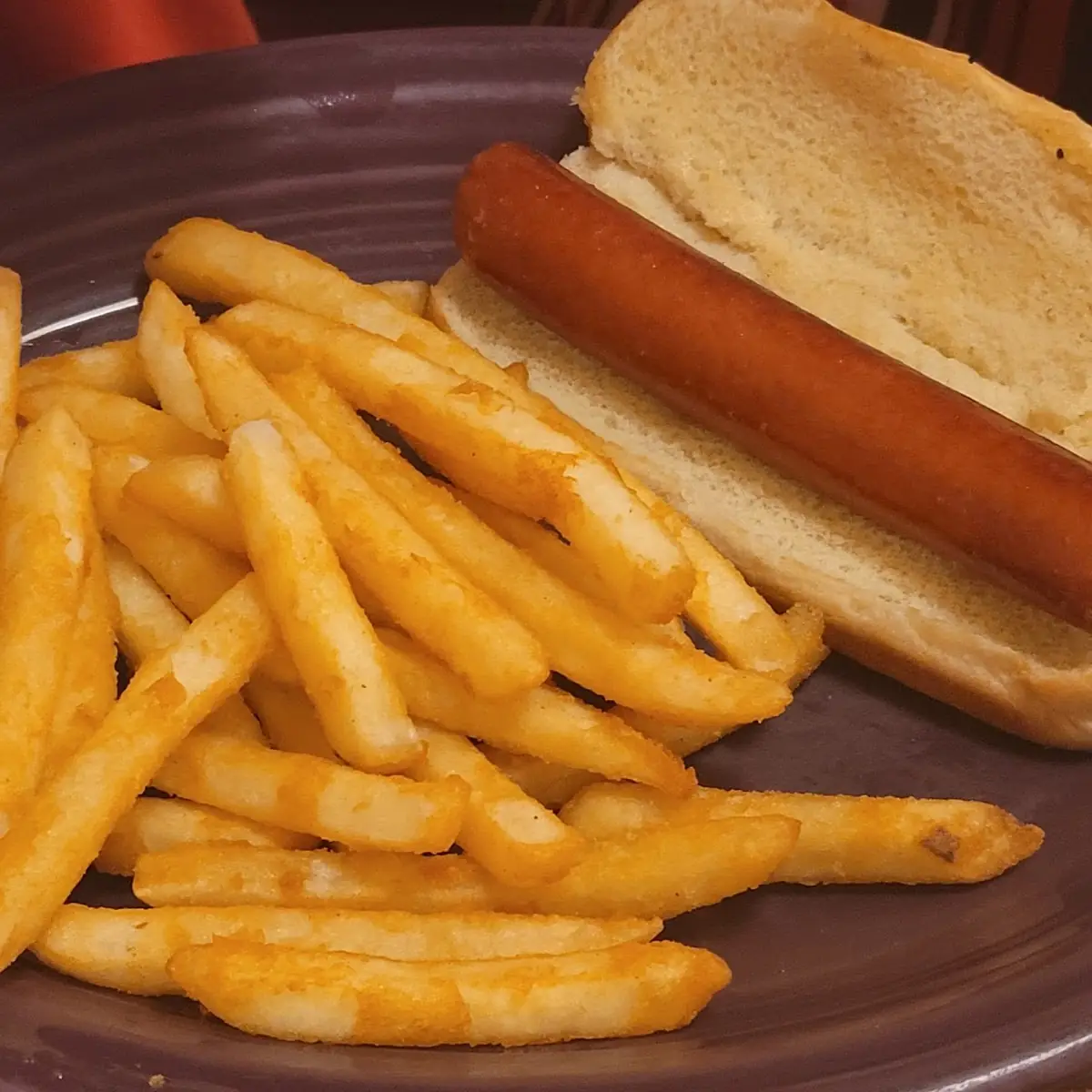 Hot Dog and Fries