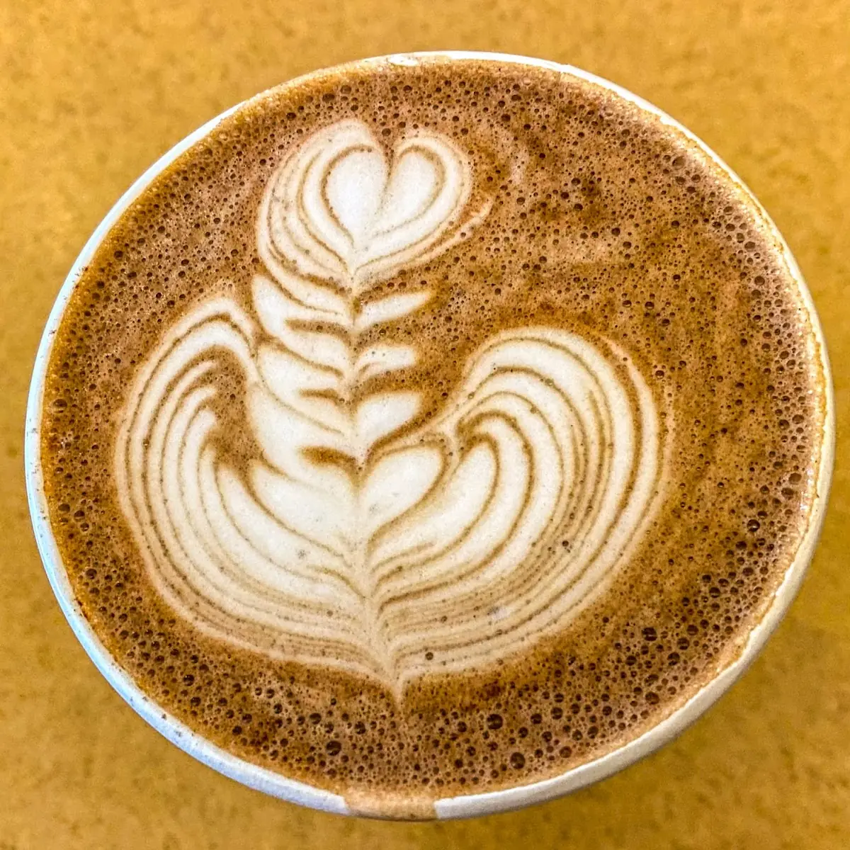 Cappuccino