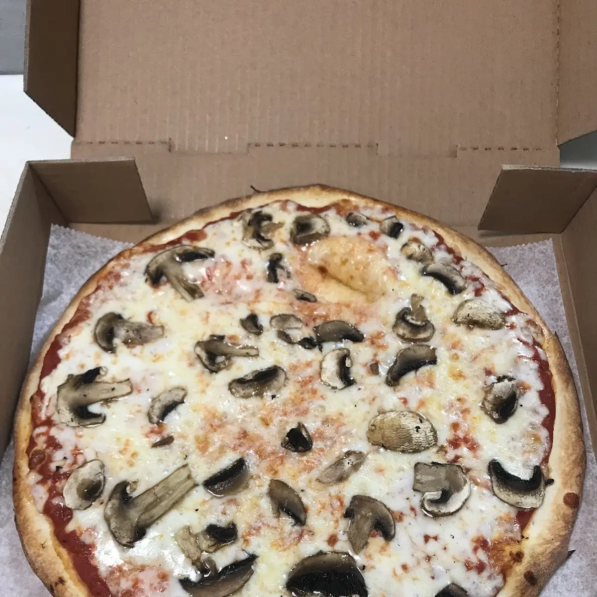 Mushroom Pizza