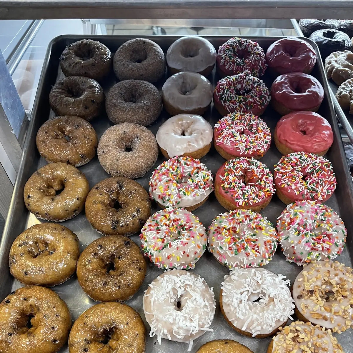 Raised- Chocolate Glazed Sugan