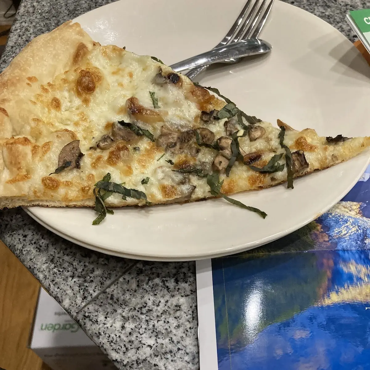 Mushroom Cheese Pizza
