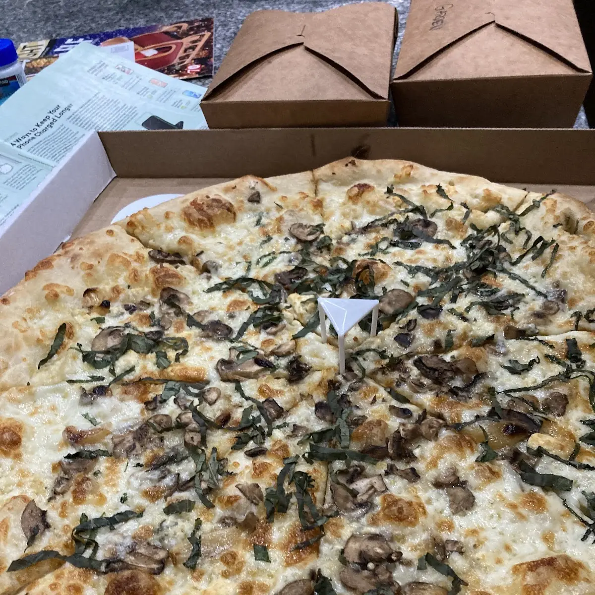 Mushroom Pizza