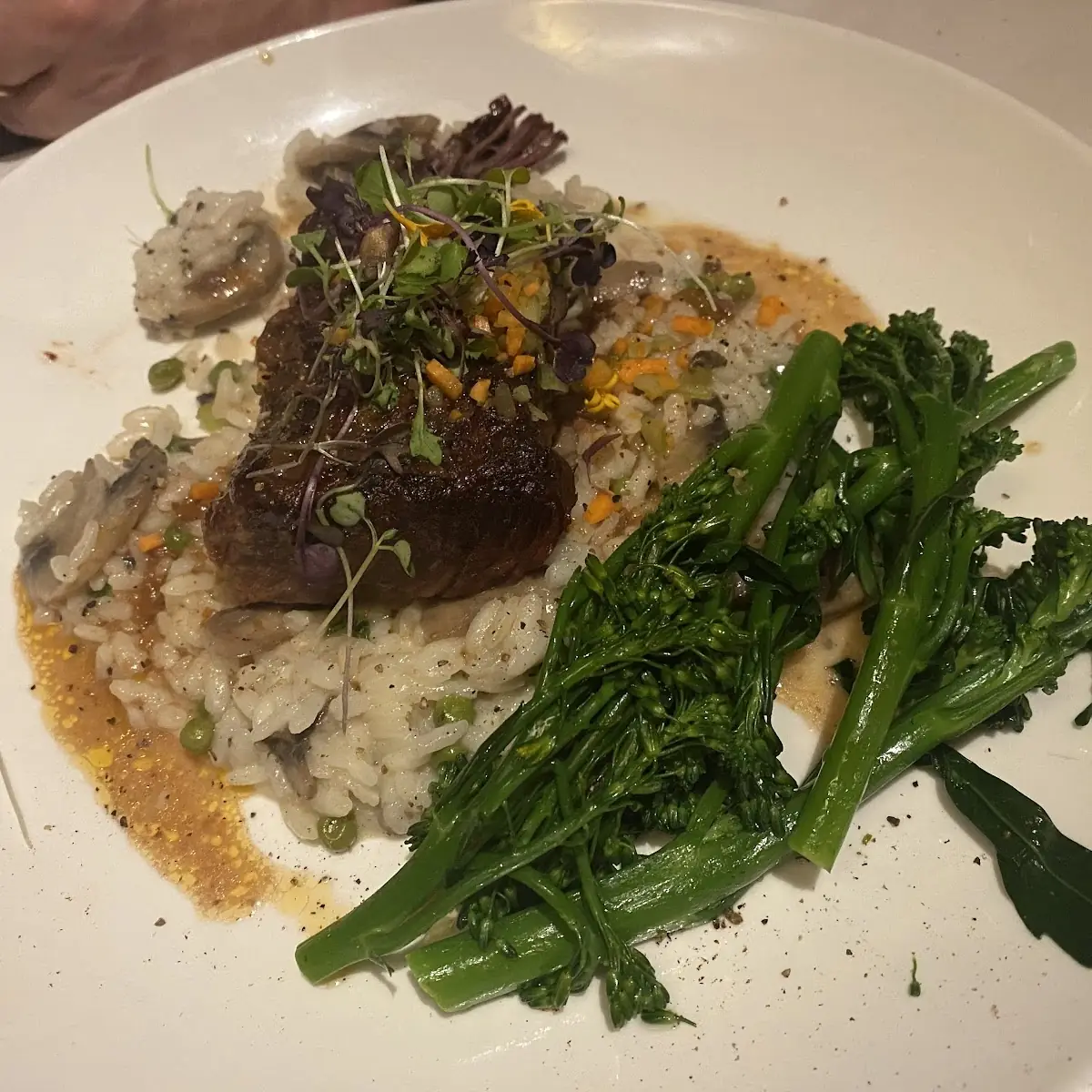 Short Rib with Mushroom Risotto