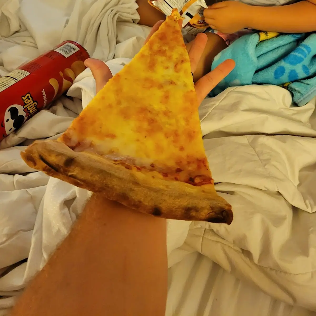 Large Cheese Pizza Slice