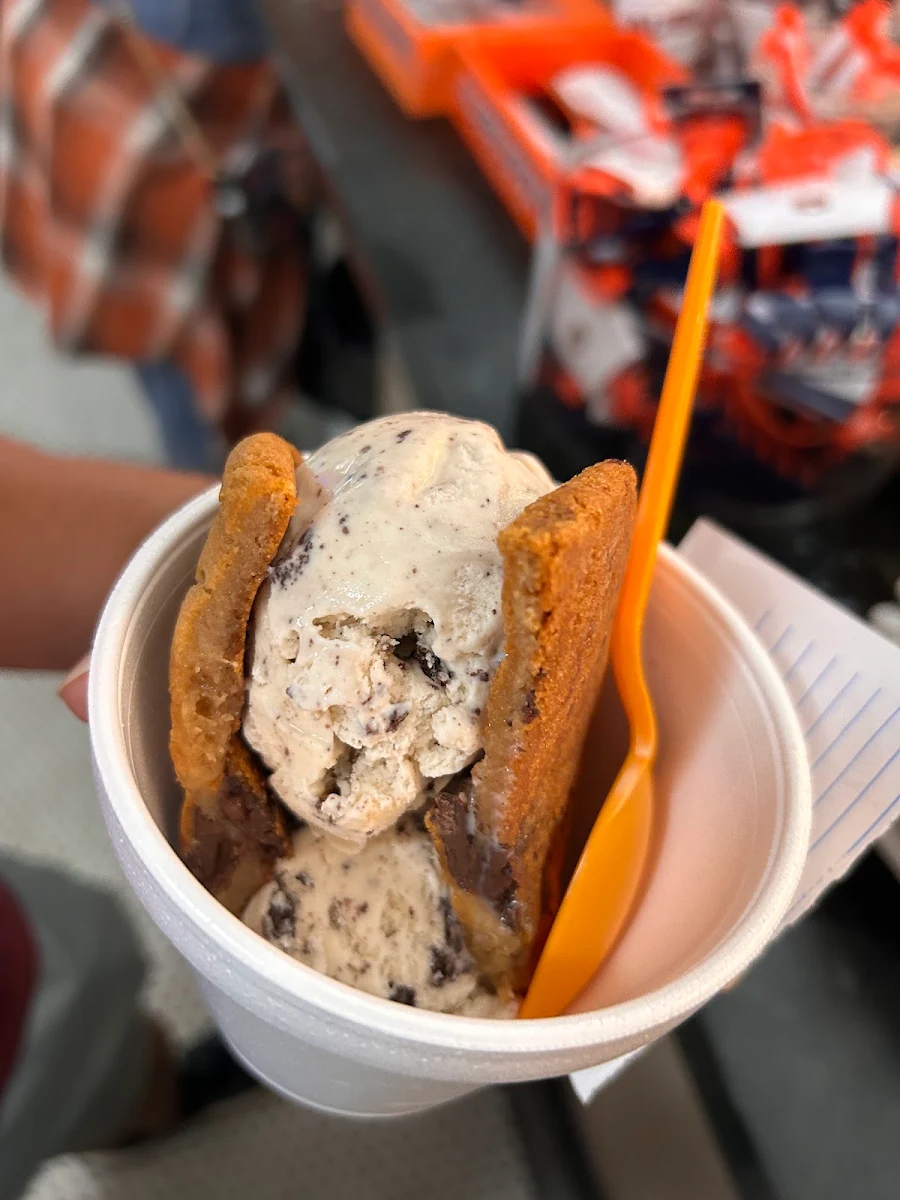 Cookie Dough Ice Cream