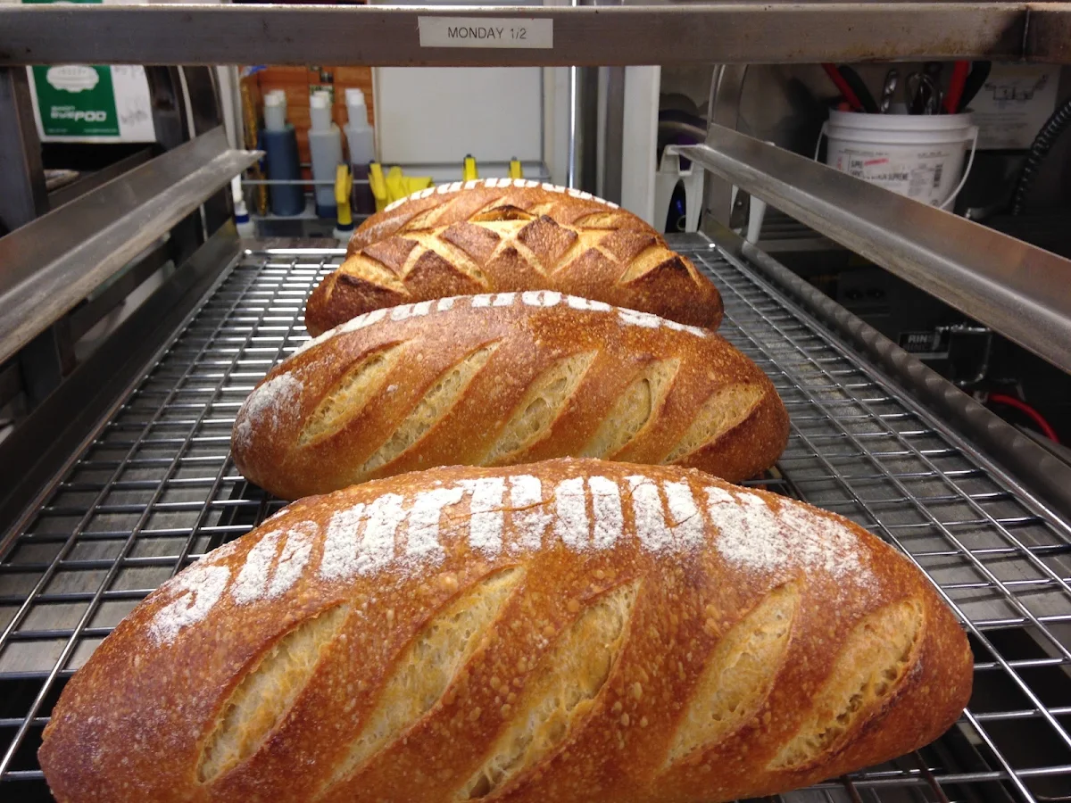 Sourdough Vienna