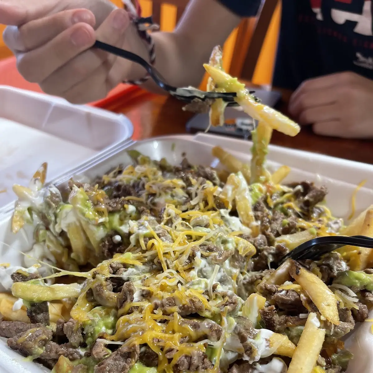Carne Asada Fries