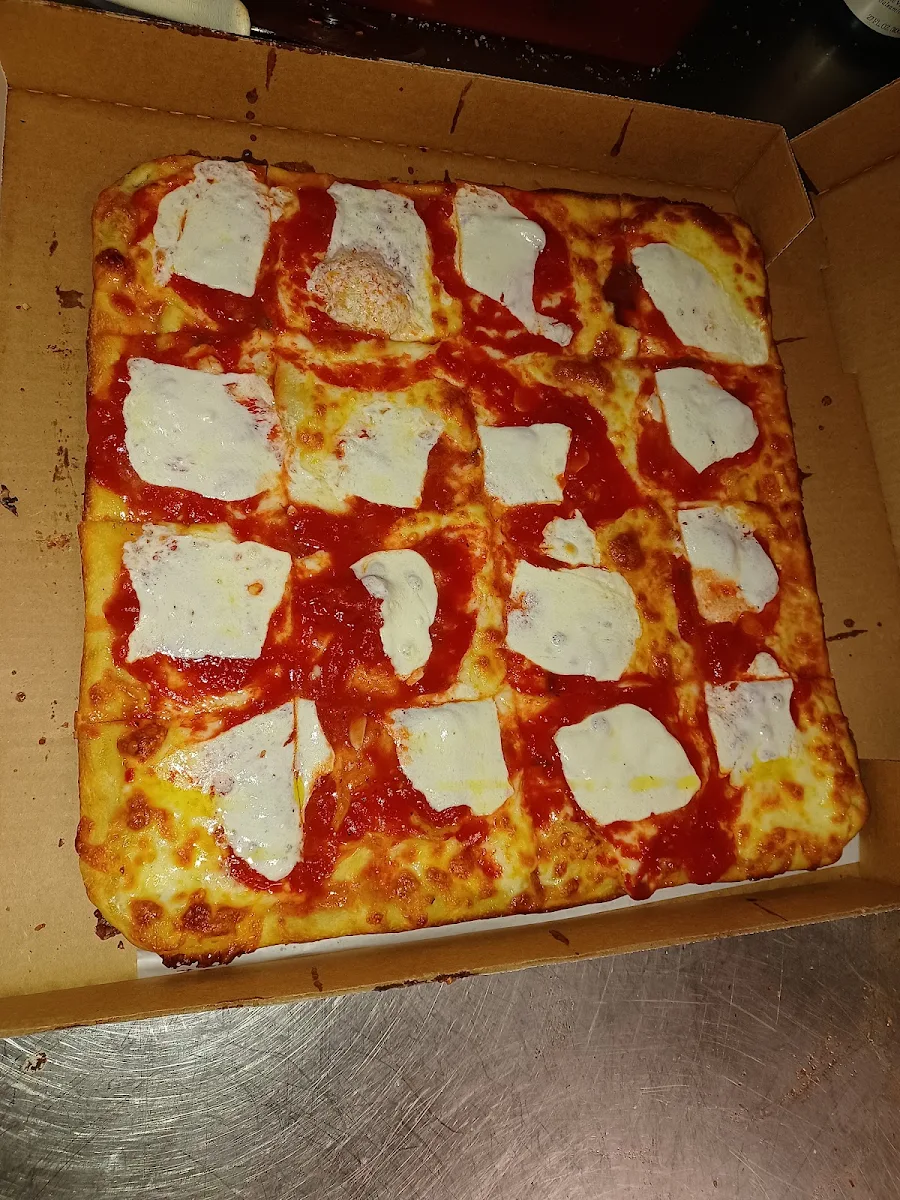 Suice Pizza & 4 Mozzarella Sticks