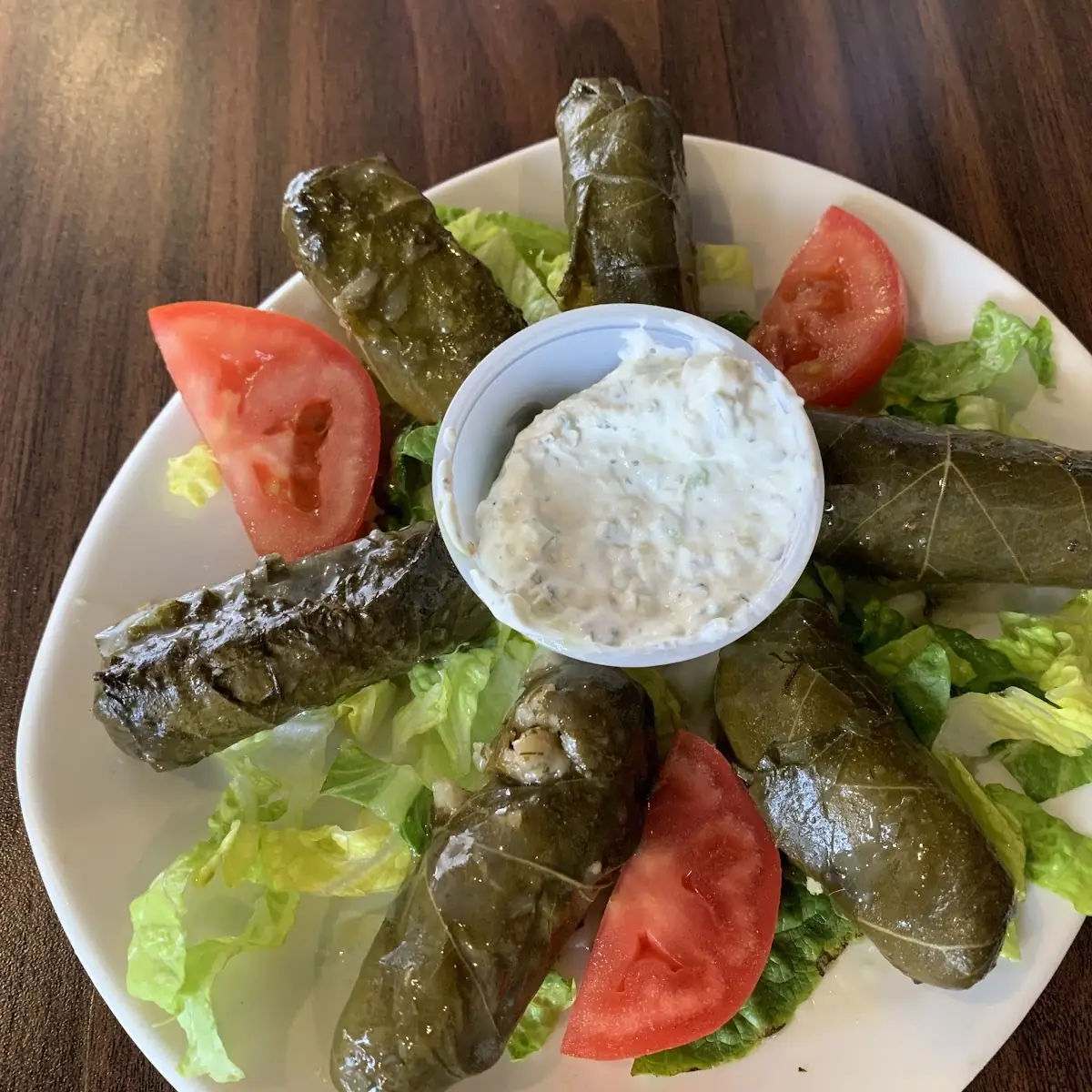 Stuffed Grape Leaves Dolmas
