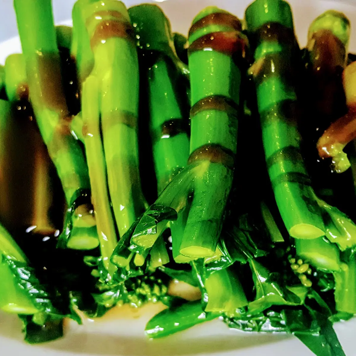 Chinese Broccoli in Oyster Sauce