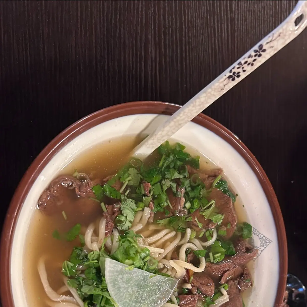 Spicy Broth Beef Noodle Soup