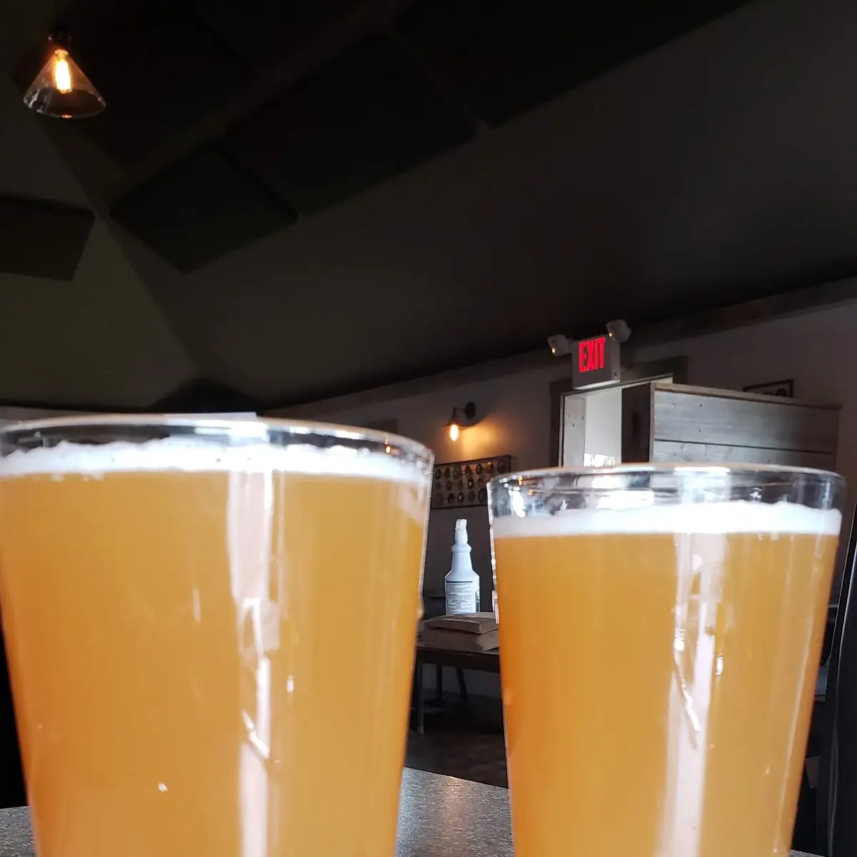 Unfiltered Pale Ale