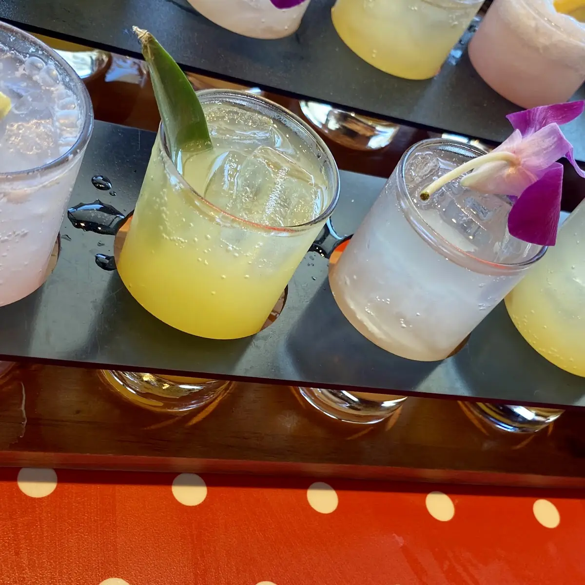 Mimosa Flight