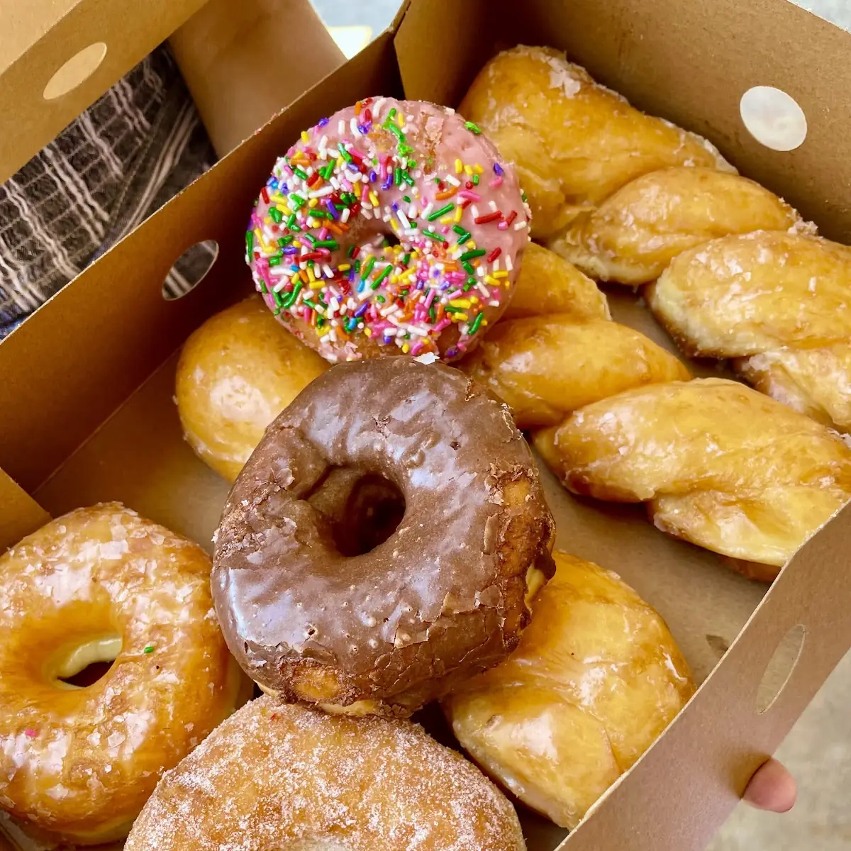 Assorted Dozen Donuts 12