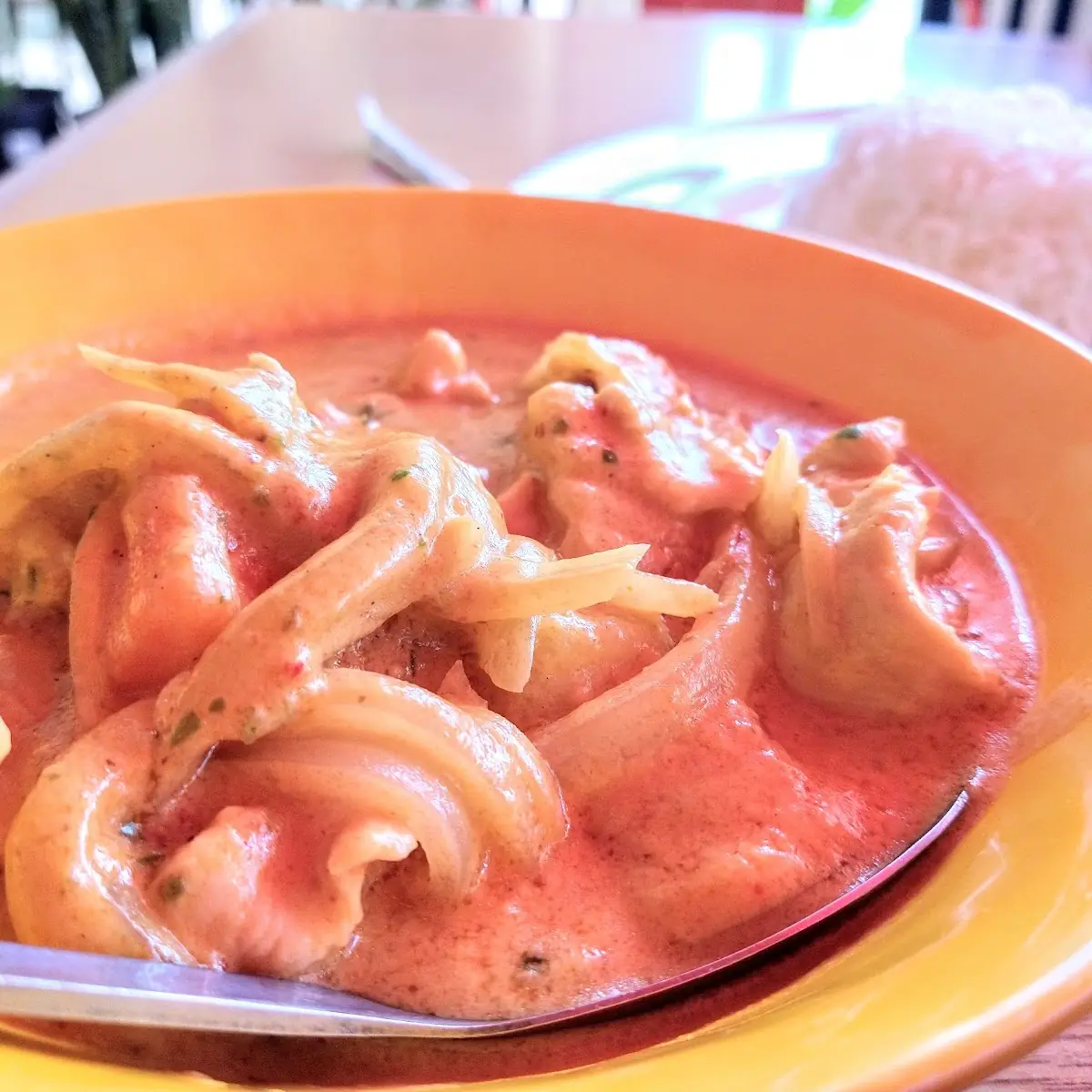 Yellow Curry Chicken with Onion