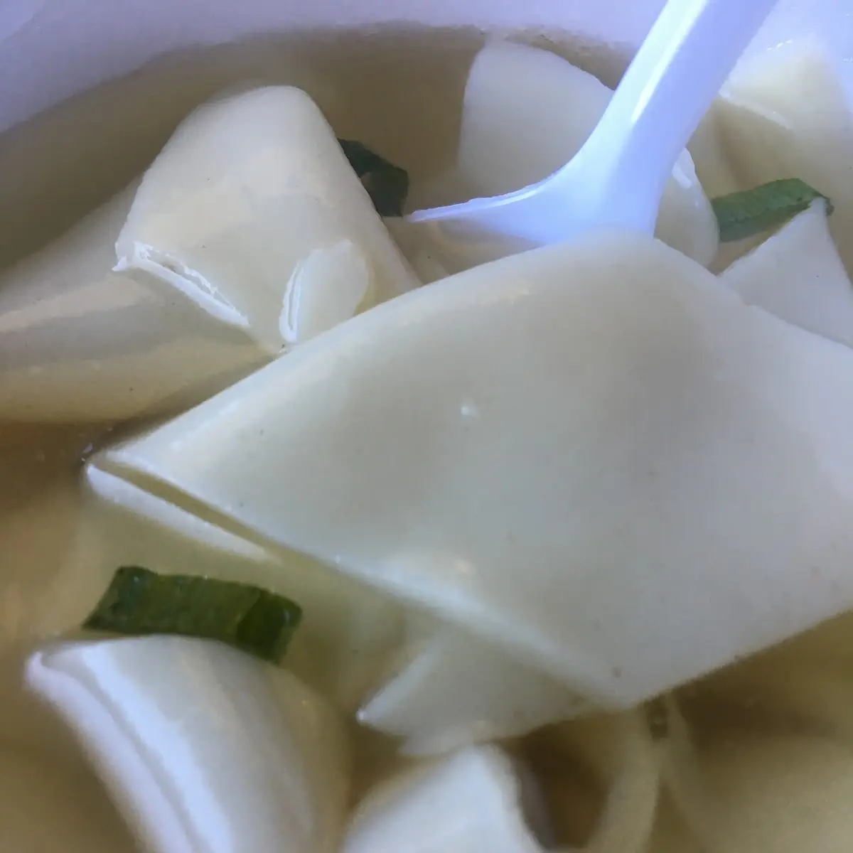 Won Ton Soup