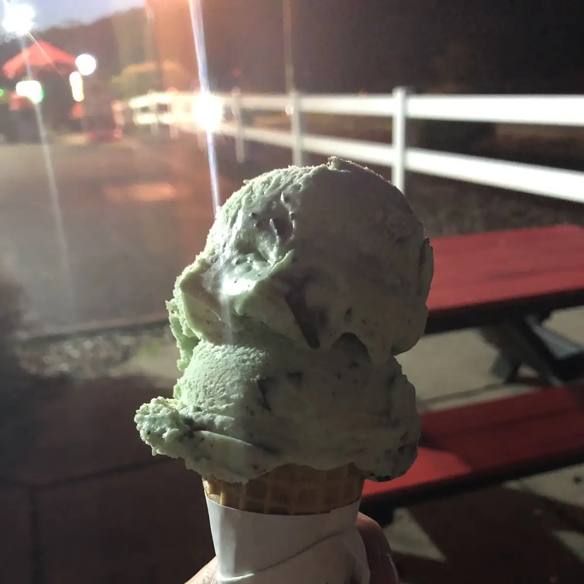 Mint Chocolate Chip Ice Cream