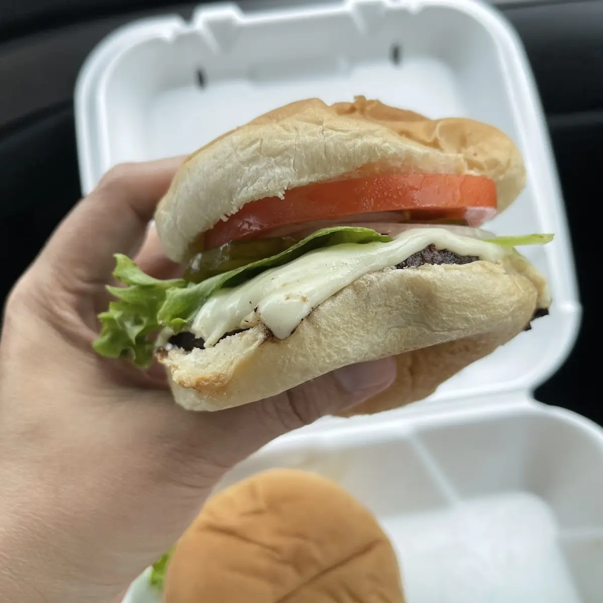 Cheese Burger