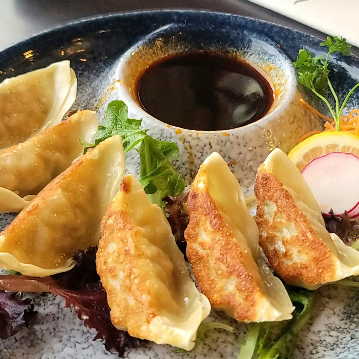 Gyoza 6