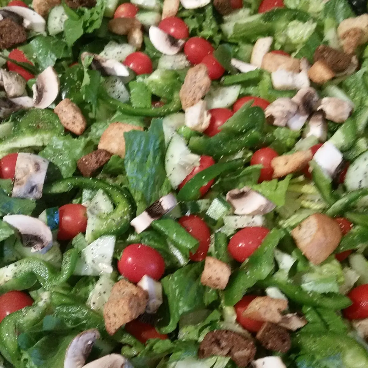 Field Green Garden Salad