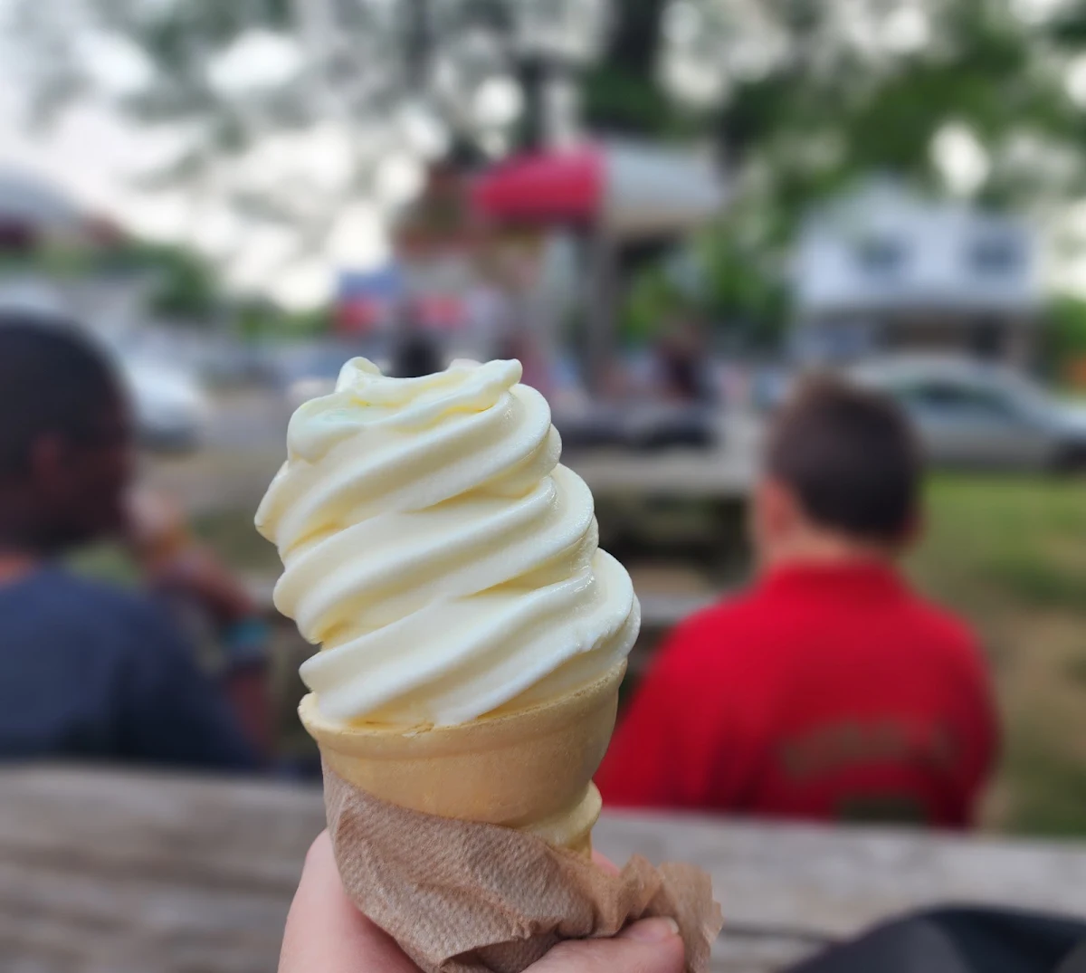 Soft Serve Vanilla Ice Cream