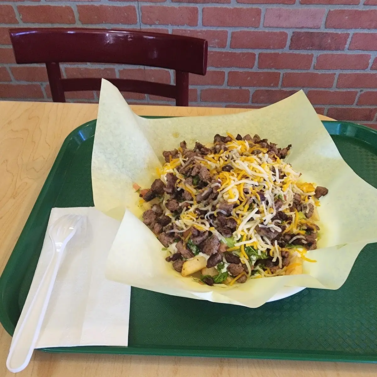 Carne Asada Fries