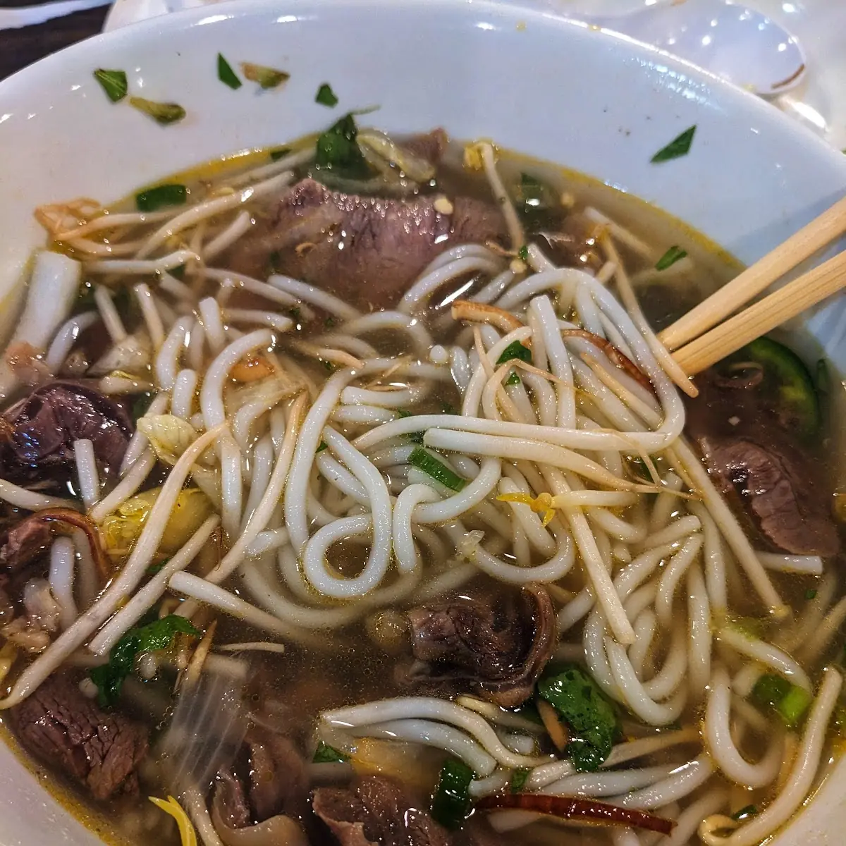 Beef Soup