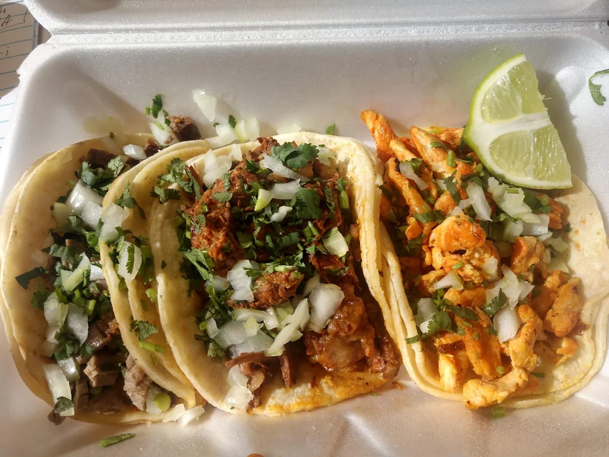 Steak Barbacoa and Chicken Tacos