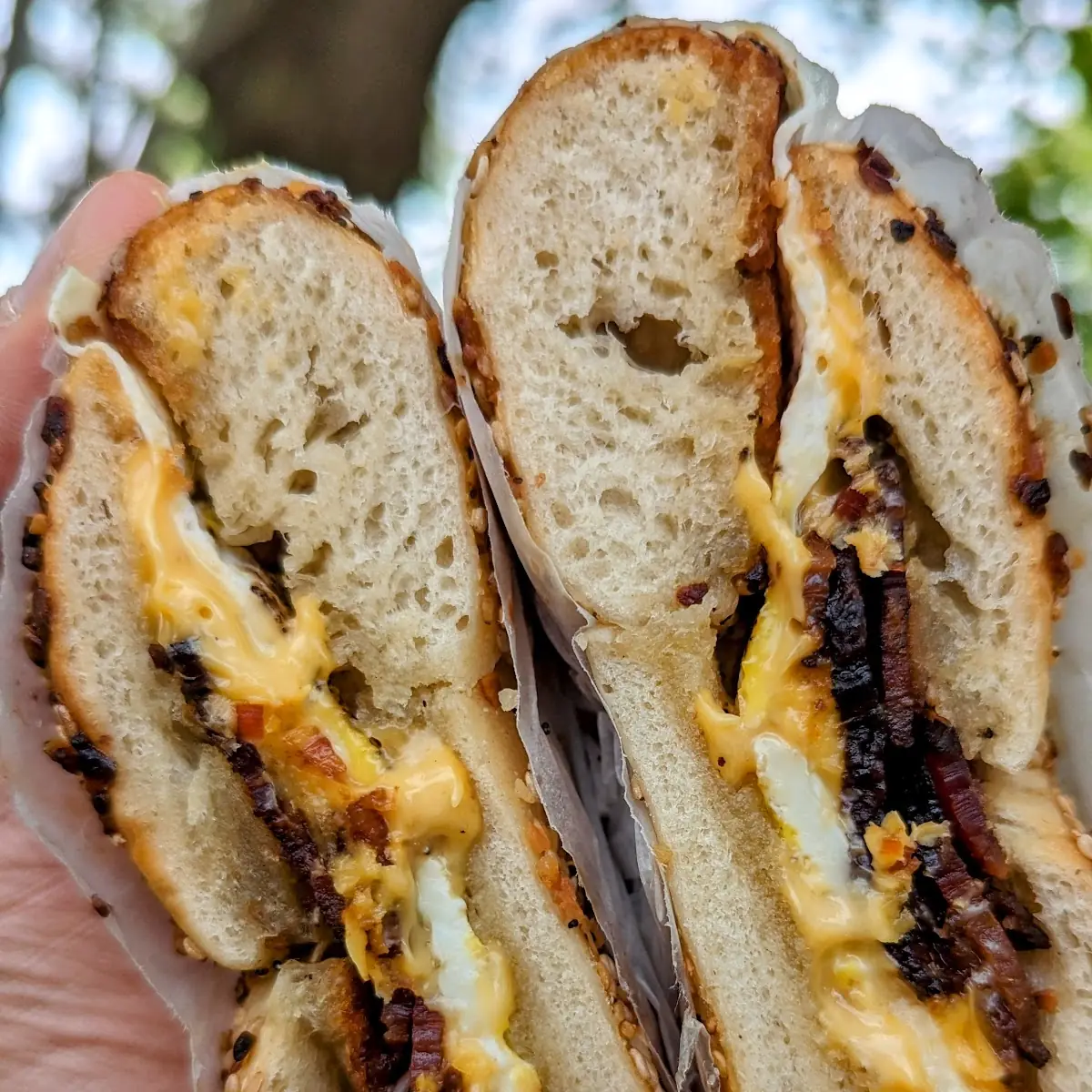 Bacon Egg Cheese Everything Bagel