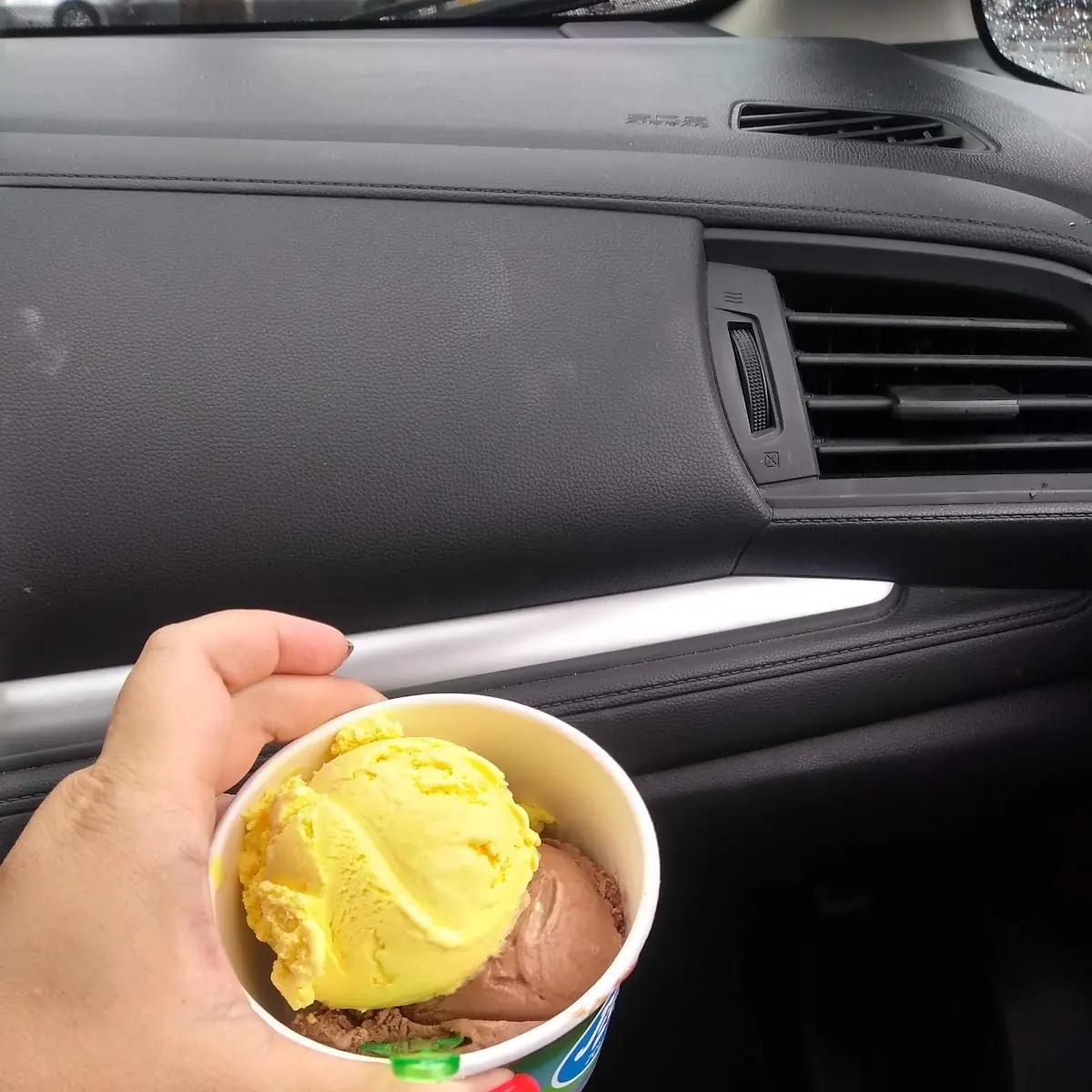 Chocolate Ice Cream