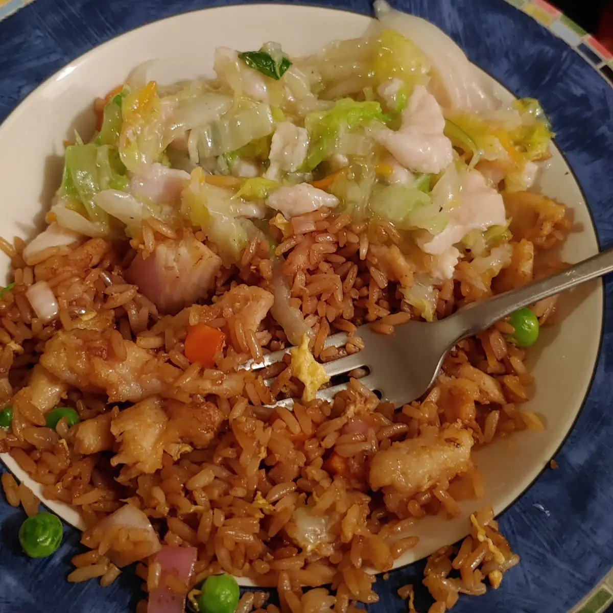 Chicken Chow Mein & Chicken Fried Rice