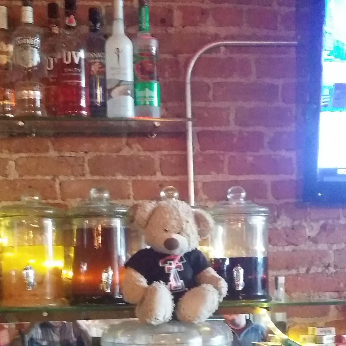 Annie Bear on Top of E