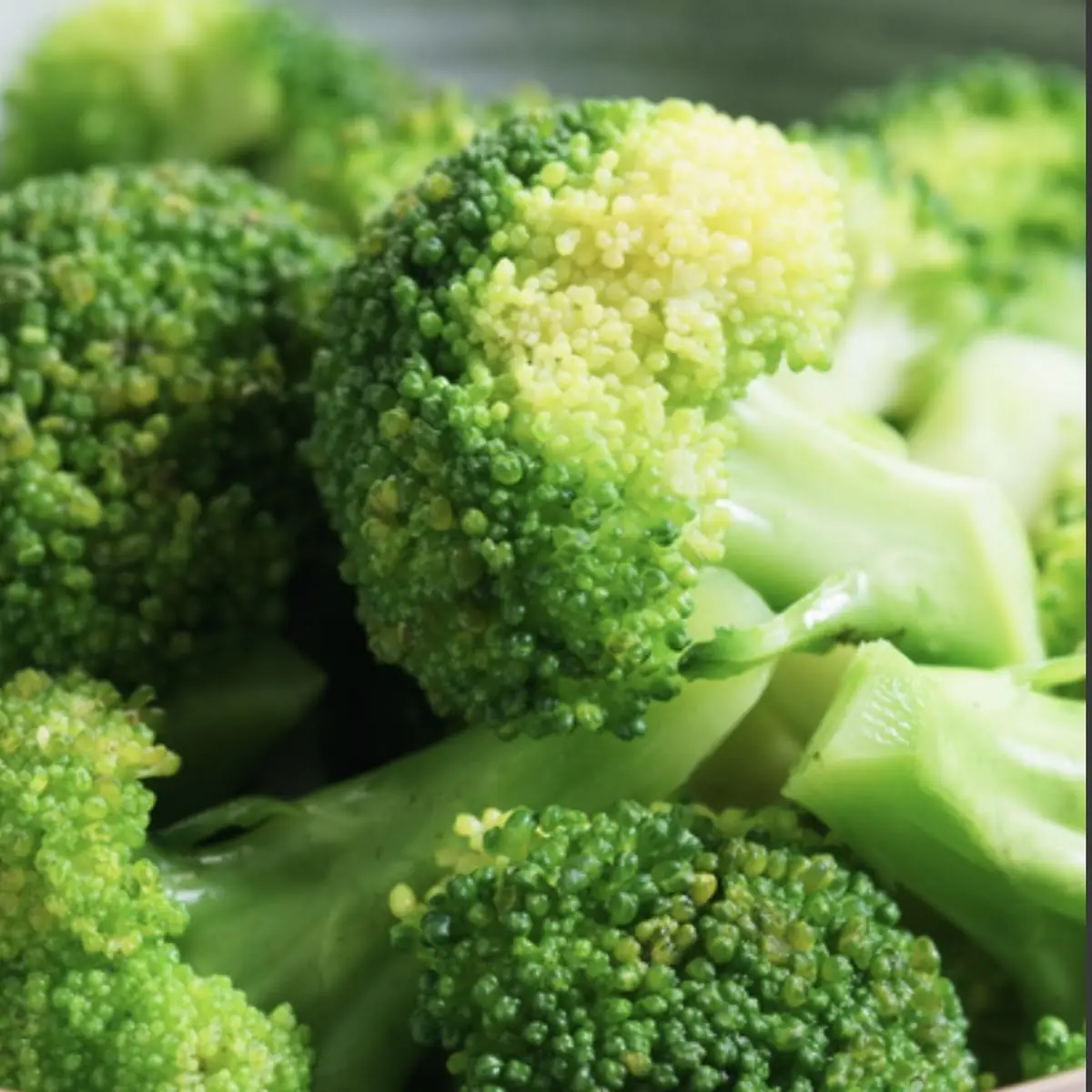 Steamed Broccoli