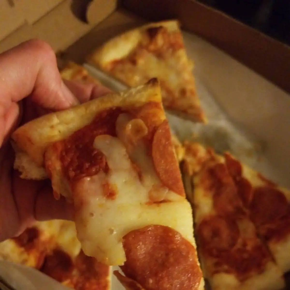 Several Hours Old Pizza Pepperoni