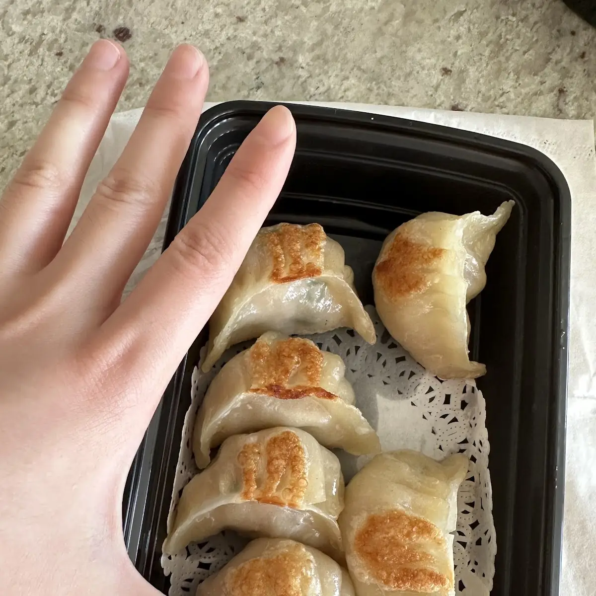 Pan Fried Hand-Made Dumpling