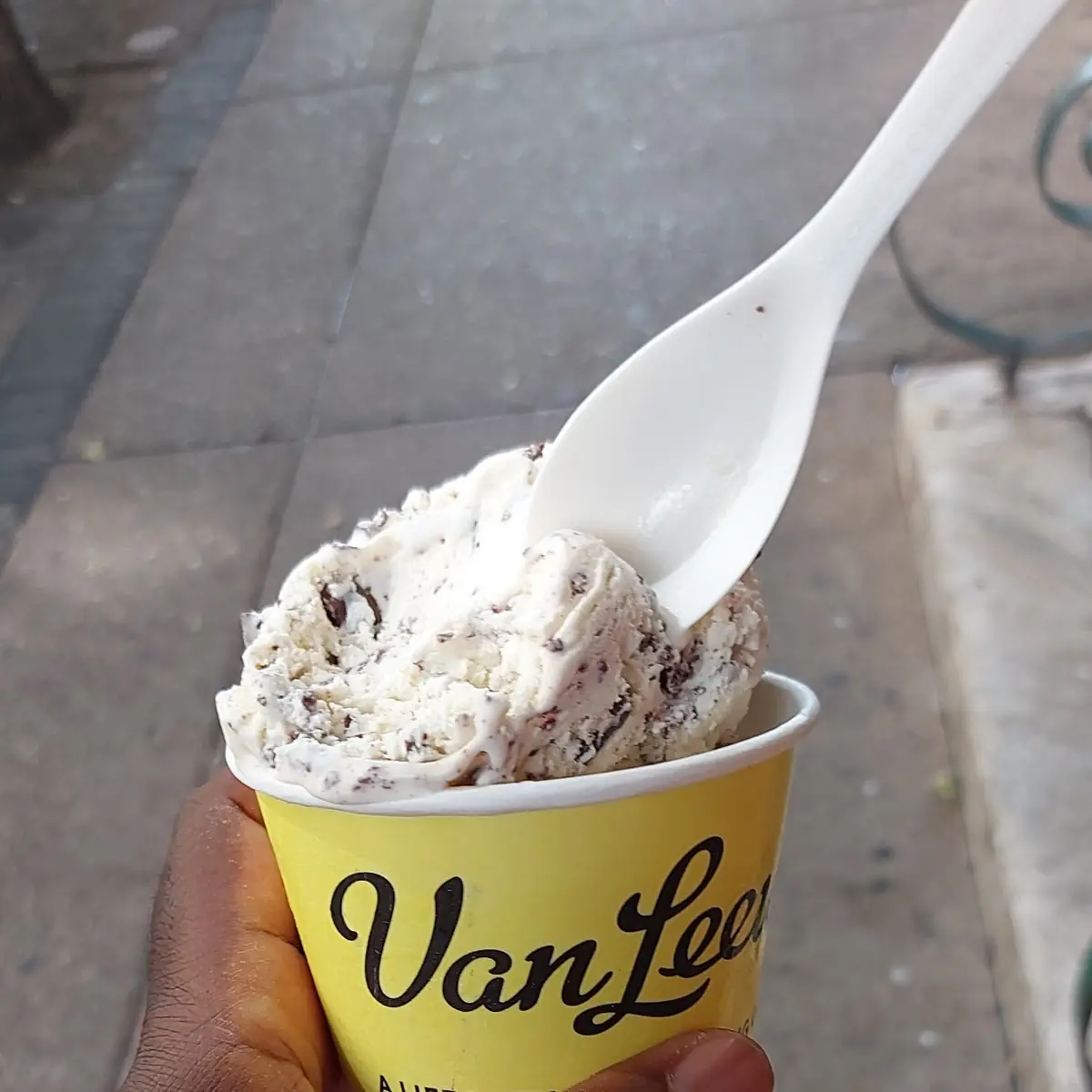 Mint Chocolate Ice Cream